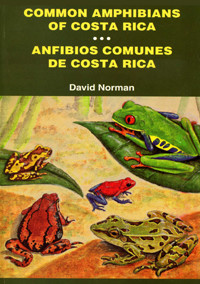 Common Amphibians of Costa Rica