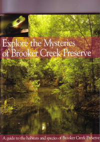 Explore the Mysteries of Brooker Creek Preserve